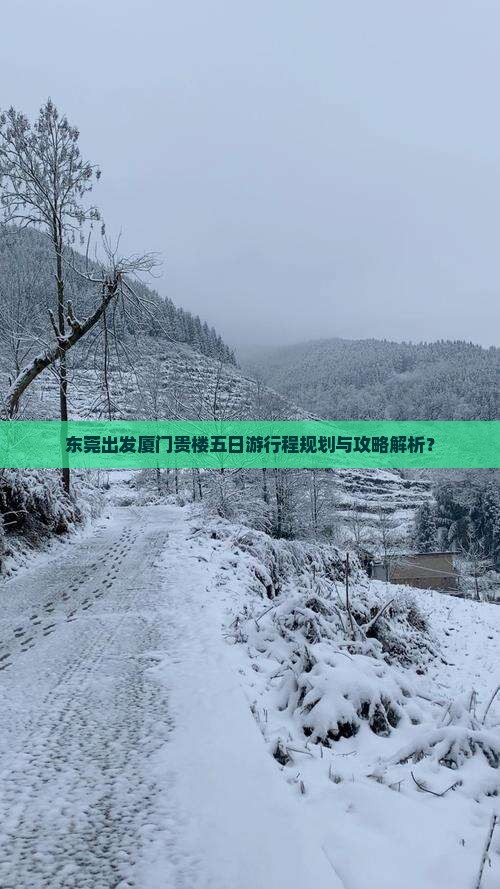 东莞出发厦门贵楼五日游行程规划与攻略解析？