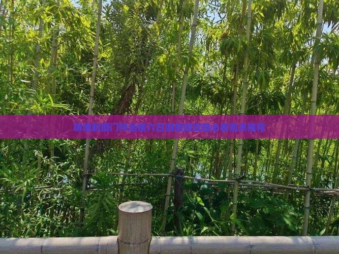 聊城到厦门怀远楼六日游旅游攻略必看景点推荐