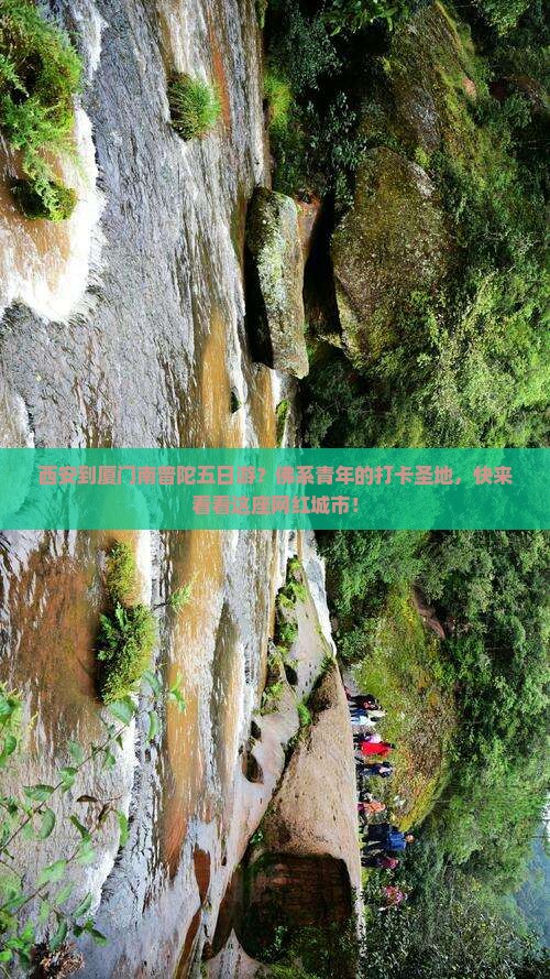 西安到厦门南普陀五日游？佛系青年的打卡圣地，快来看看这座网红城市！
