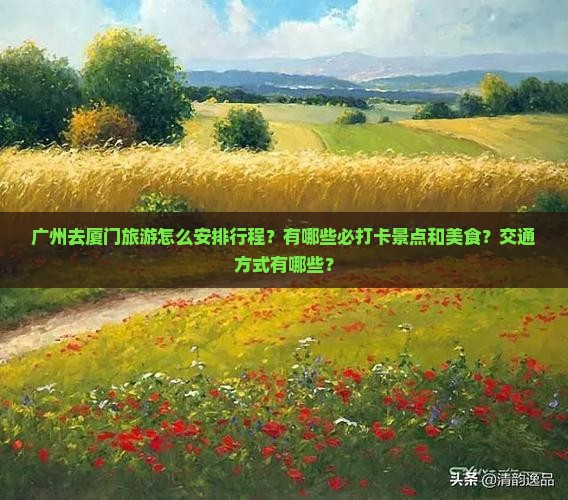 广州去厦门旅游怎么安排行程？有哪些必打卡景点和美食？交通方式有哪些？