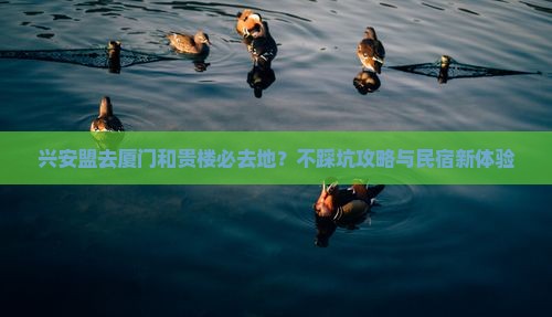 兴安盟去厦门和贵楼必去地？不踩坑攻略与民宿新体验