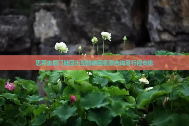 思茅去厦门毓园大型旅游团机票查询及行程安排