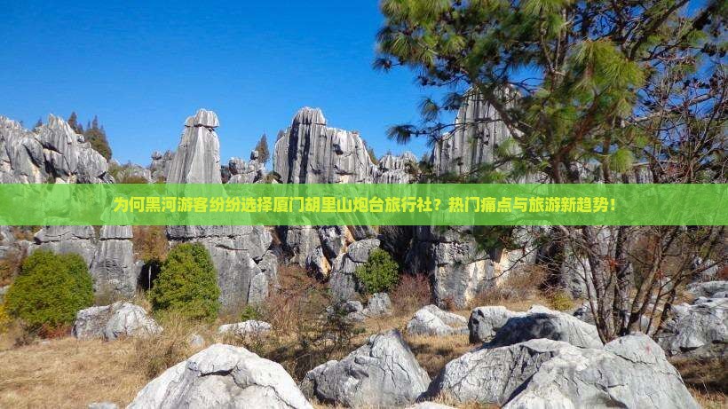 为何黑河游客纷纷选择厦门胡里山炮台旅行社？热门痛点与旅游新趋势！