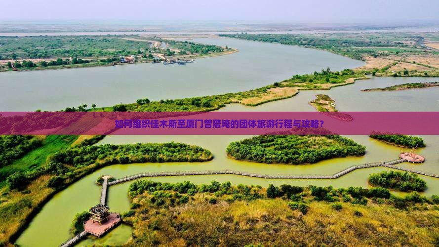 如何组织佳木斯至厦门曾厝埯的团体旅游行程与攻略？