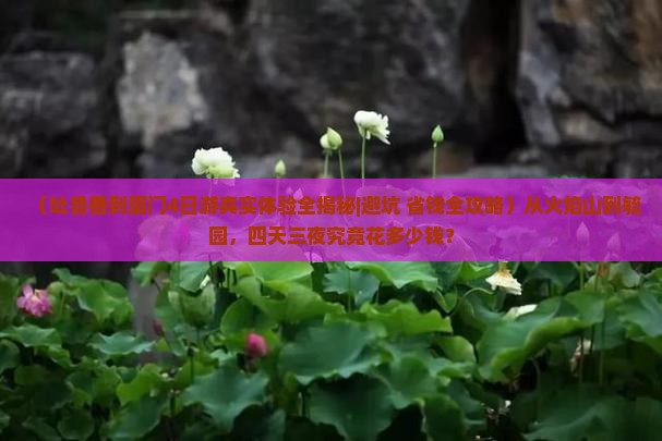 吐鲁番到厦门毓园四日游