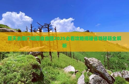 夏天去厦门毓园自由团