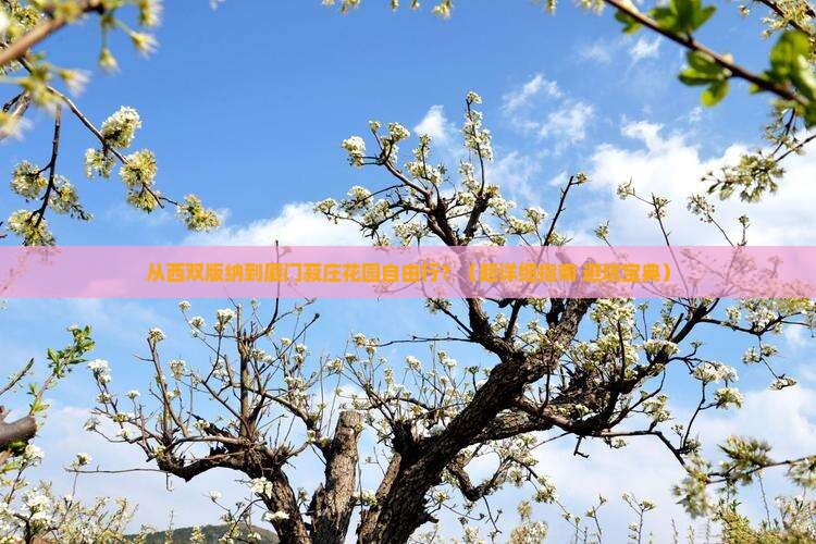 西双版纳到厦门菽庄花园自由行