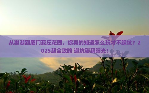 巢湖去厦门菽庄花园大型旅游团