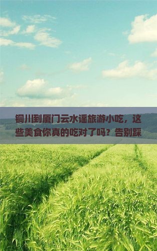 铜川到厦门云水谣旅游小吃