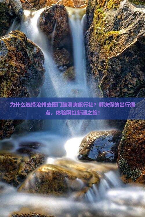 沧州去厦门鼓浪屿旅行社