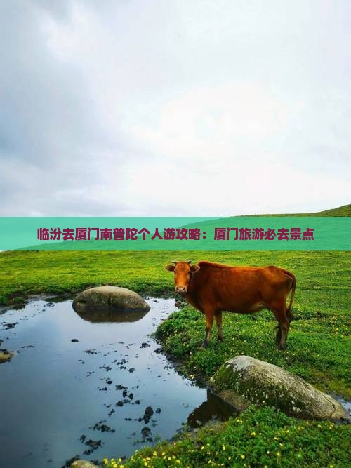 临汾去厦门南普陀个人游
