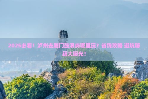 泸州去厦门鼓浪屿哪里玩