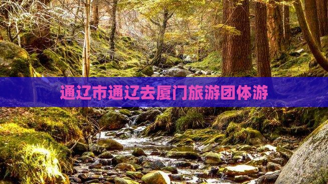 通辽去厦门团体旅游