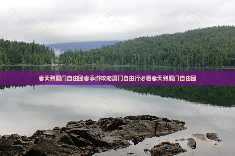 春天到厦门自由团