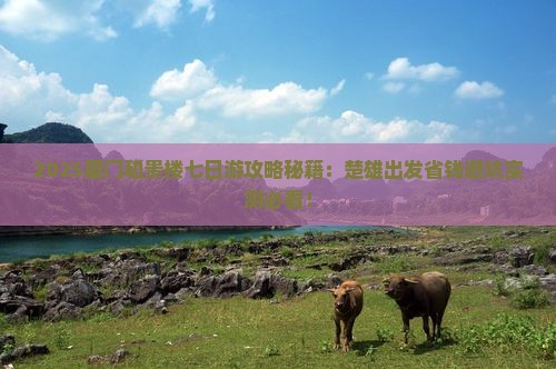 楚雄去厦门和贵楼七日游