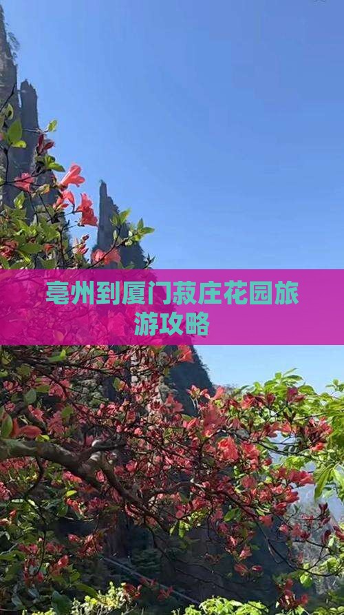 亳州到厦门菽庄花园大型旅游团