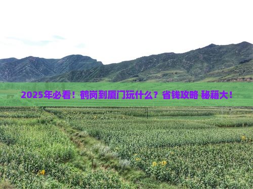 鹤岗到厦门哪里玩