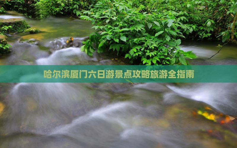 哈尔滨去厦门六日游