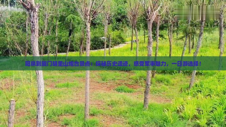 阳泉到厦门胡里山炮台景点