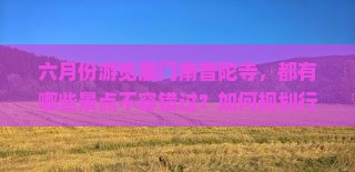 六月份游览厦门南普陀寺，都有哪些景点不容错过？如何规划行程？