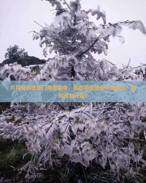 六月份游览厦门南普陀寺，都有哪些景点不容错过？如何规划行程？