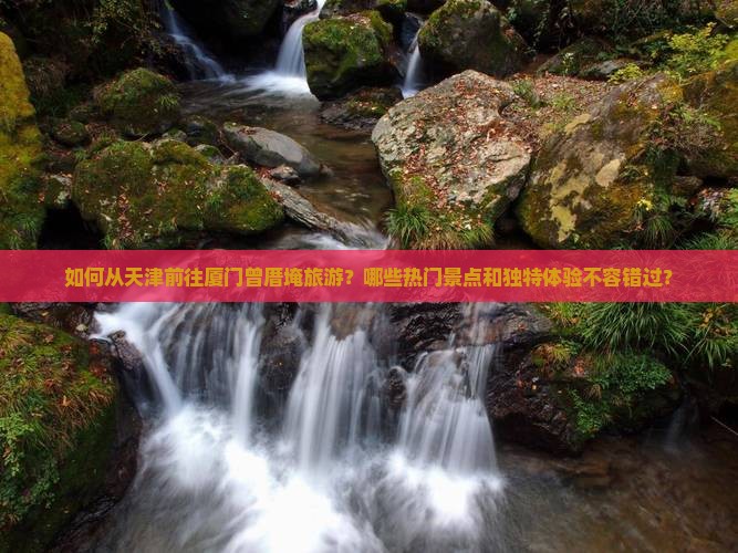 如何从天津前往厦门曾厝埯旅游？哪些热门景点和独特体验不容错过？