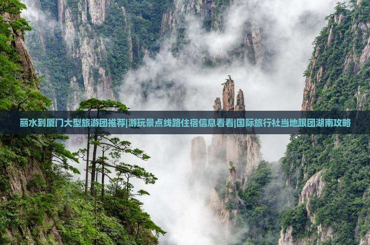 丽水到厦门大型旅游团推荐|游玩景点线路住宿信息看看|国际旅行社当地跟团湖南攻略