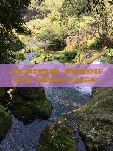 去厦门南普陀旅游时，聊城游客如何安排行程？有哪些特色小吃值得品尝？