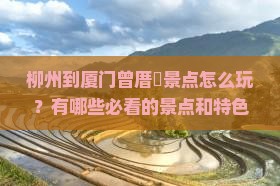 柳州到厦门曾厝垵景点怎么玩？有哪些必看的景点和特色体验？