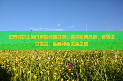 巴音郭楞去厦门曾厝埯四日游：探寻闽南风情、体验海滨美景、品尝特色美食之旅