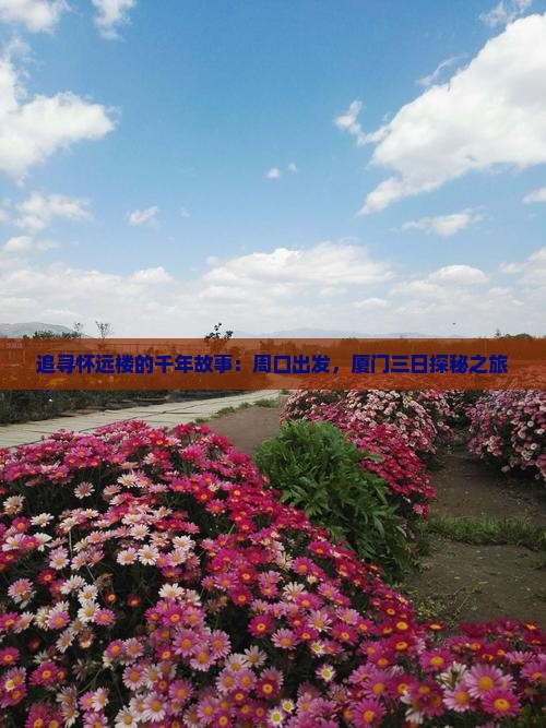追寻怀远楼的千年故事:周口出发,厦门三日探秘之旅 追寻怀远楼的千年故事:周口出发,厦门三日探秘之旅