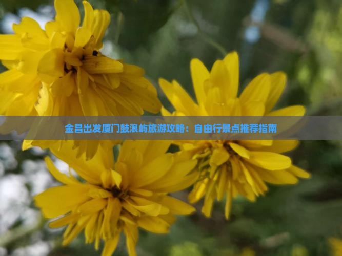 金昌出发厦门鼓浪屿旅游攻略：自由行景点推荐指南
