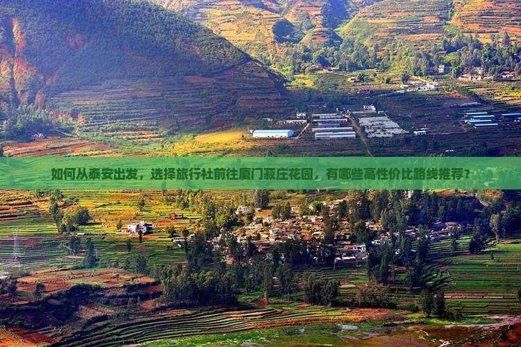 如何从泰安出发，选择旅行社前往厦门菽庄花园，有哪些高性价比路线推荐？