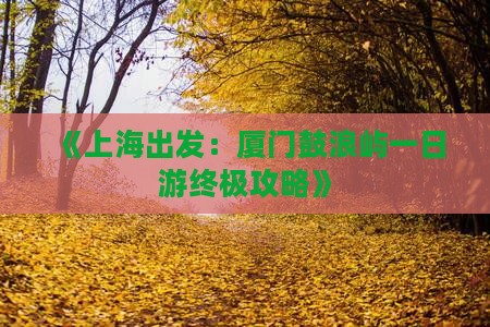 《上海出发：厦门鼓浪屿一日游终极攻略》