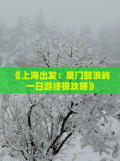 《上海出发：厦门鼓浪屿一日游终极攻略》