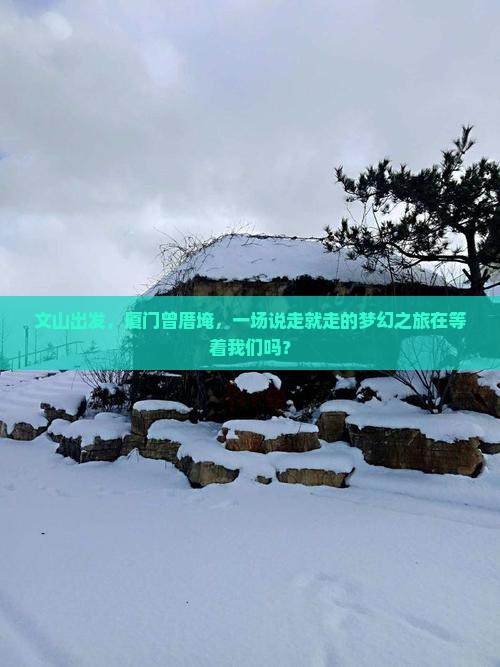文山出发，厦门曾厝埯，一场说走就走的梦幻之旅在等着我们吗？
