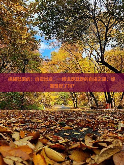 探秘鼓浪屿！自贡出发，一场说走就走的自由之旅，你准备好了吗？