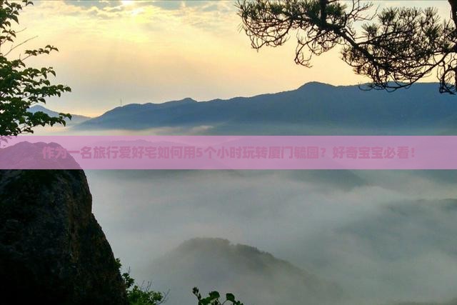 作为一名旅行爱好宅如何用5个小时玩转厦门毓园？好奇宝宝必看！