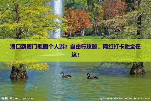 海口到厦门毓园个人游？自由行攻略、网红打卡地全在这！