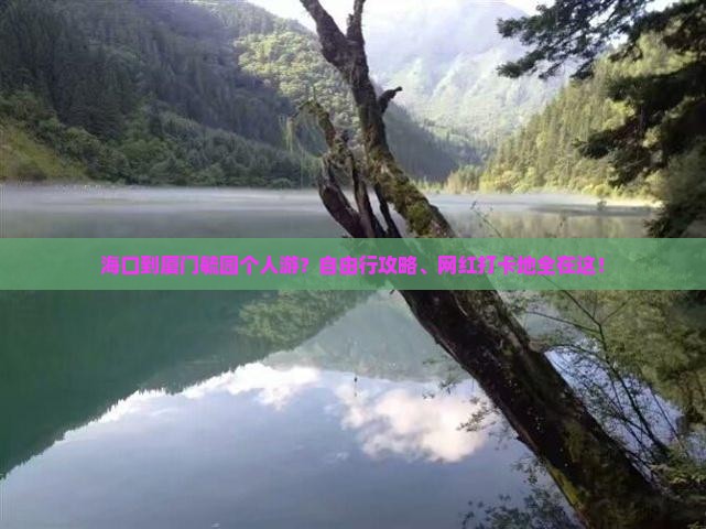海口到厦门毓园个人游？自由行攻略、网红打卡地全在这！
