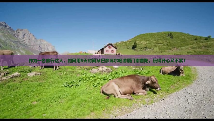 作为一名旅行达人，如何用5天时间从巴彦淖尔畅游厦门南普陀，玩得开心又不累？