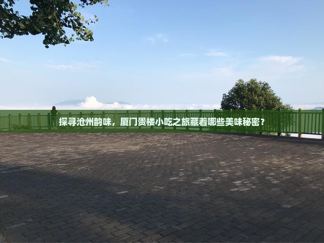 探寻沧州韵味，厦门贵楼小吃之旅藏着哪些美味秘密？