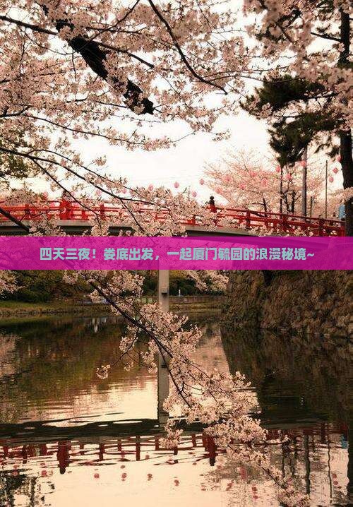 四天三夜！娄底出发，一起厦门毓园的浪漫秘境~