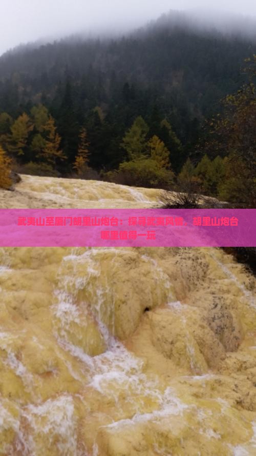 武夷山至厦门胡里山炮台：探寻武夷风情，胡里山炮台哪里值得一玩