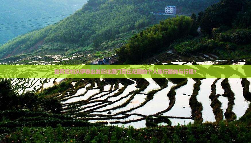 如何规划从伊春出发前往厦门菽庄花园的个人旅行路线与行程？