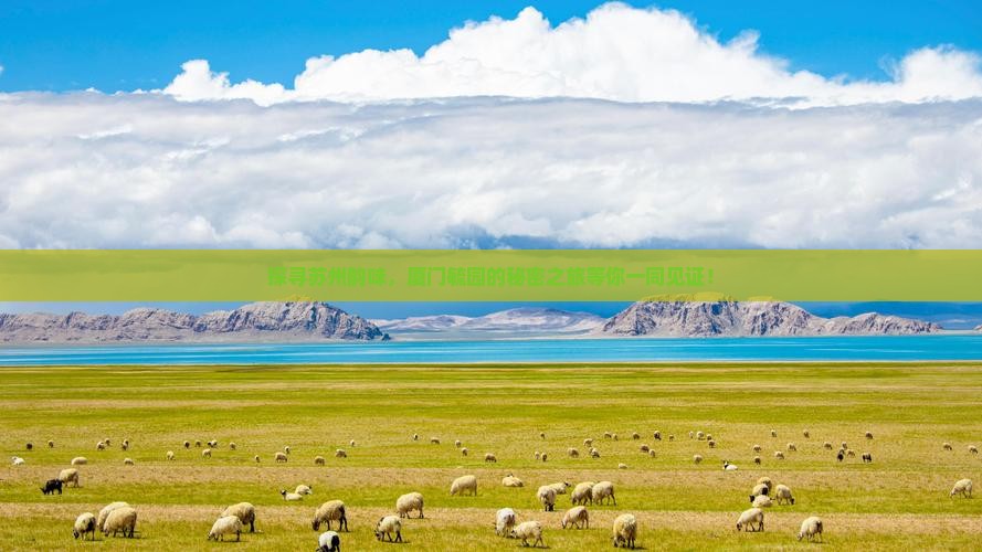探寻苏州韵味，厦门毓园的秘密之旅等你一同见证！