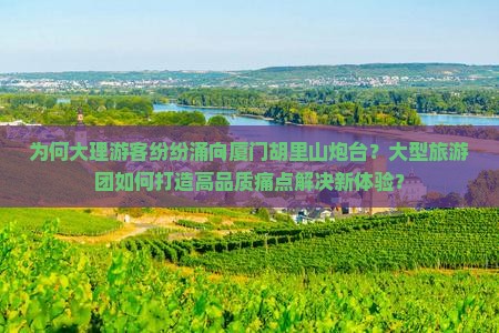 为何大理游客纷纷涌向厦门胡里山炮台？大型旅游团如何打造高品质痛点解决新体验？