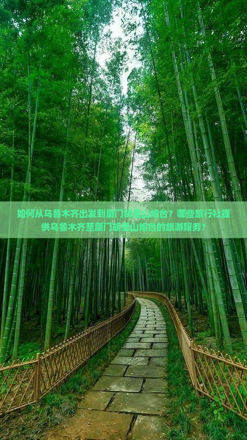 如何从乌鲁木齐出发到厦门胡里山炮台？哪些旅行社提供乌鲁木齐至厦门胡里山炮台的旅游服务？