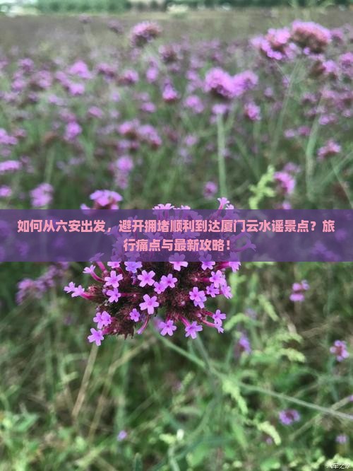 如何从六安出发，避开拥堵顺利到达厦门云水谣景点？旅行痛点与最新攻略！