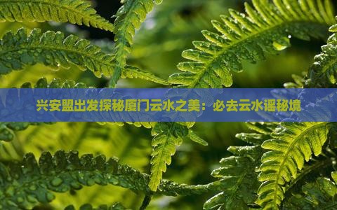 兴安盟出发探秘厦门云水之美：必去云水谣秘境